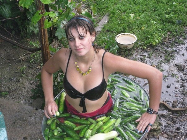 россолочка