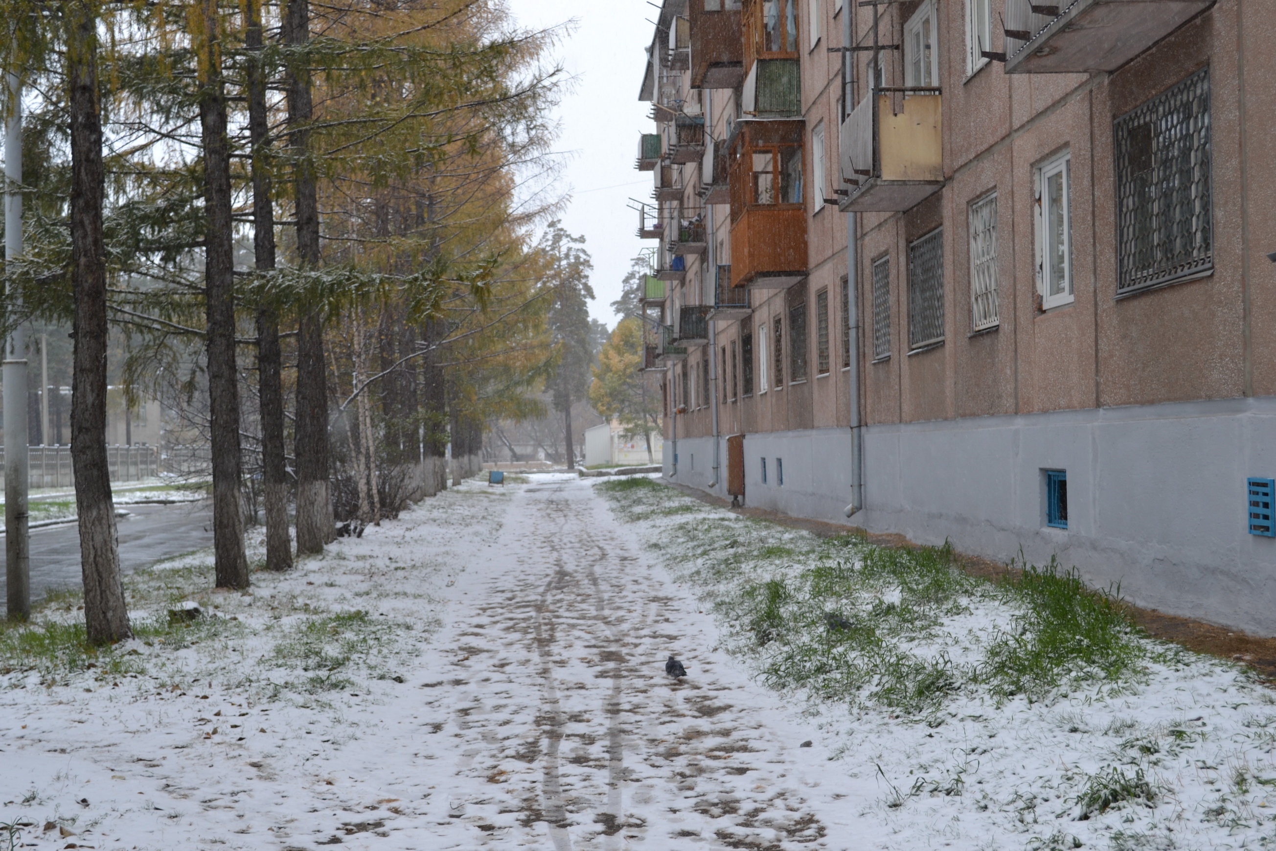 Вдоль 207го)))))