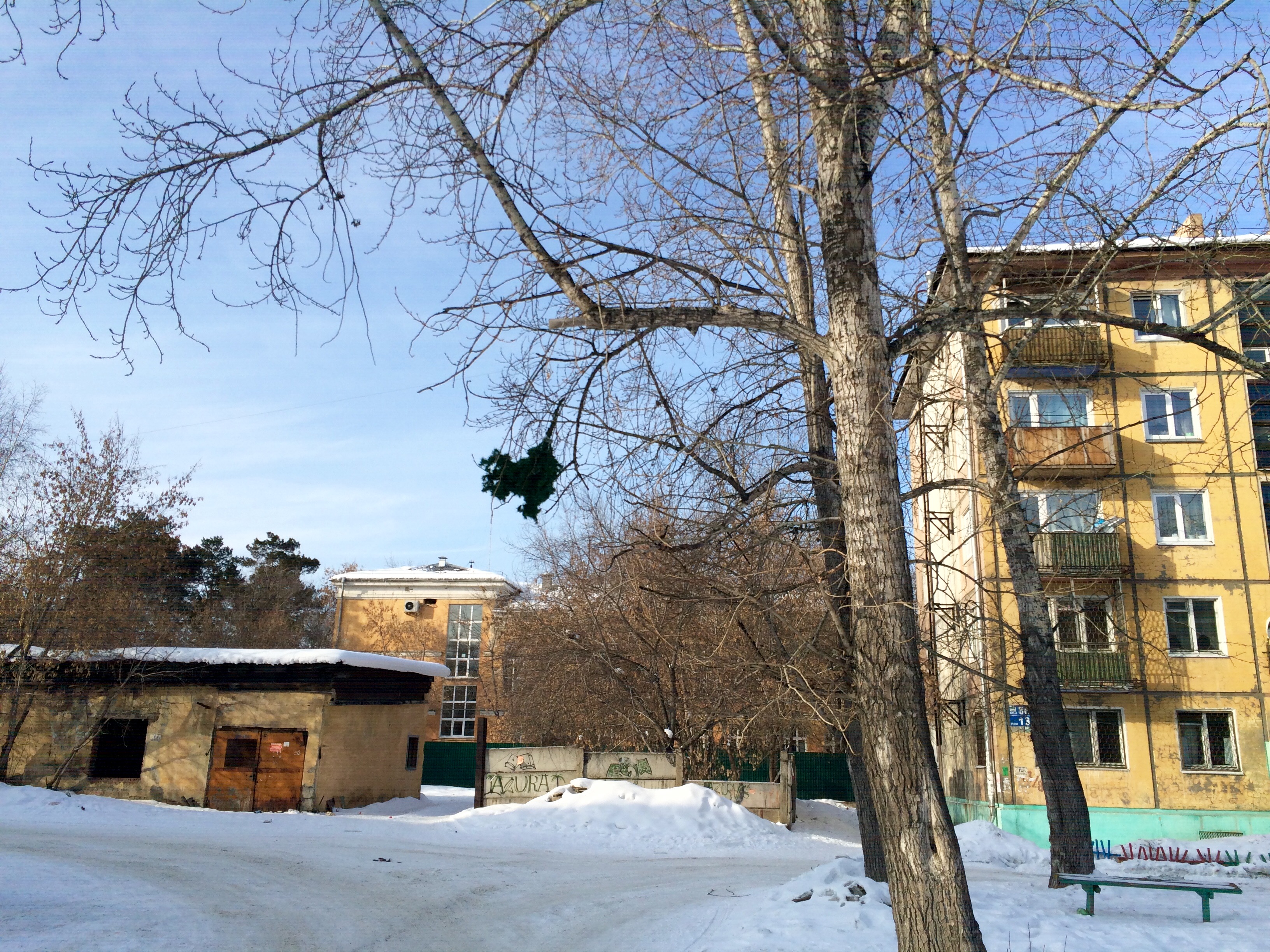 дело Мичурина