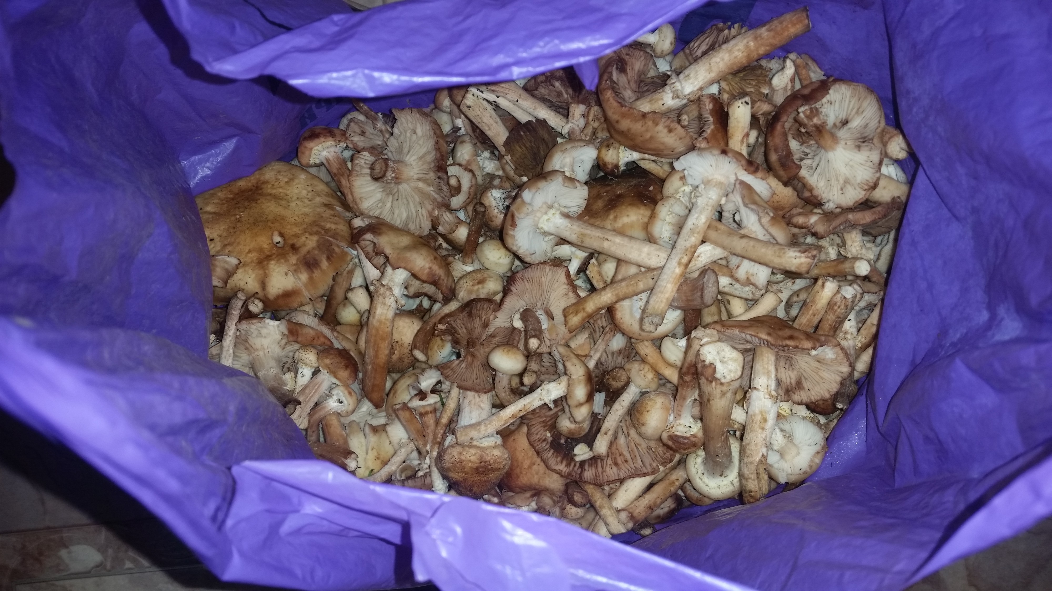 опяты ... севодня)))))