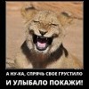 Спрячь свое грустило
