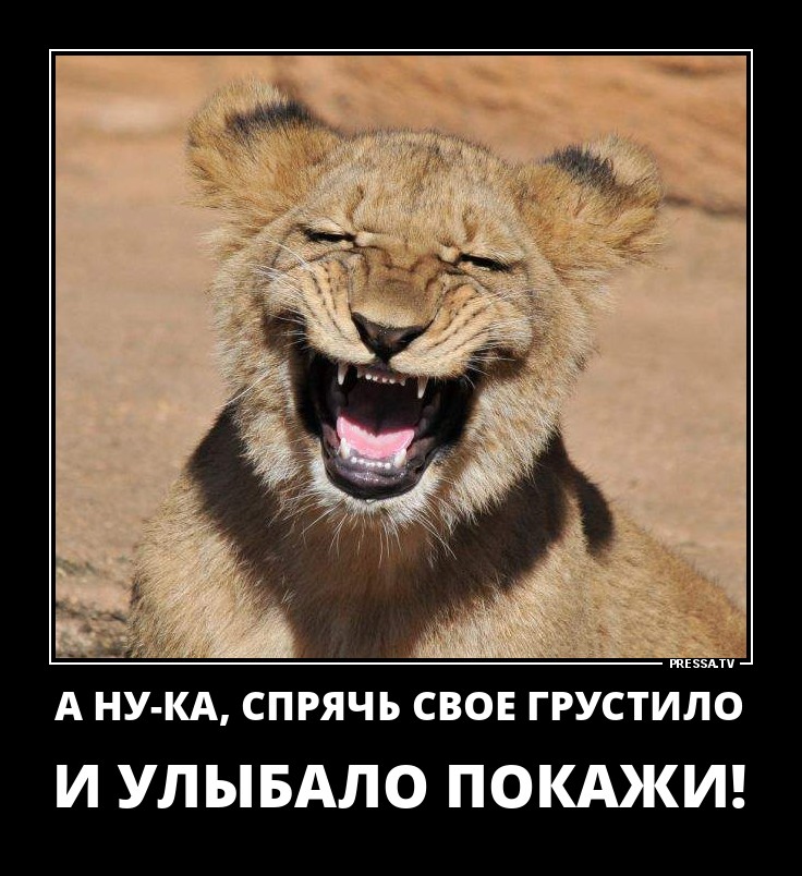 Спрячь свое грустило