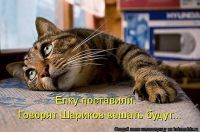 новогоднее))