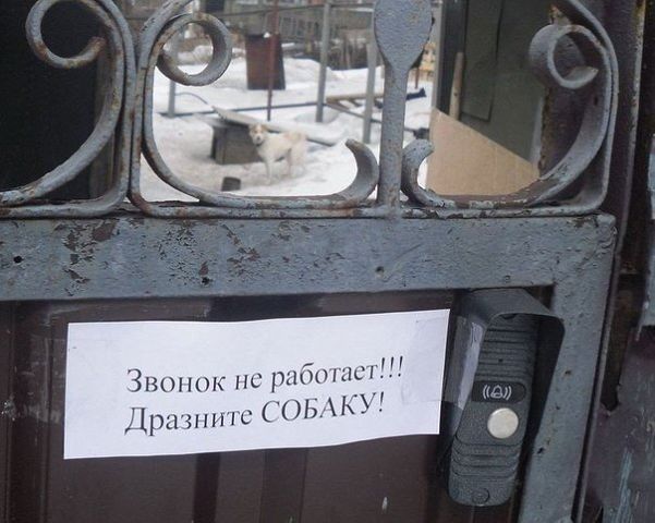 Звонок не работает...