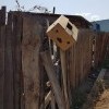 печалька печалька