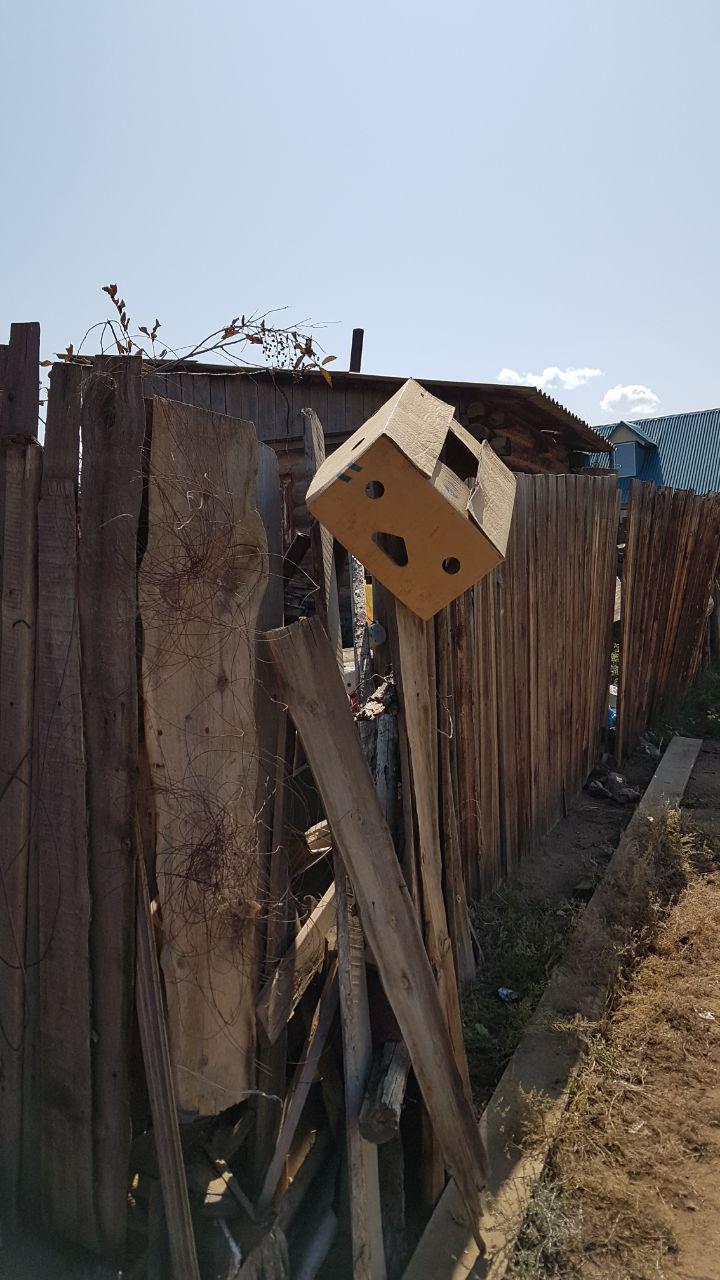 печалька