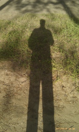 Сирёгина тень на фоне травы коия устилаит квартальский дворик))))) Сирёгина тень на фоне травы коия устилаит квартальский дворик)))))