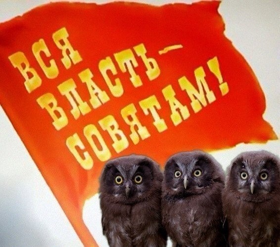 Без названия