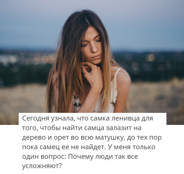 Самка