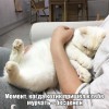Бесценный момент