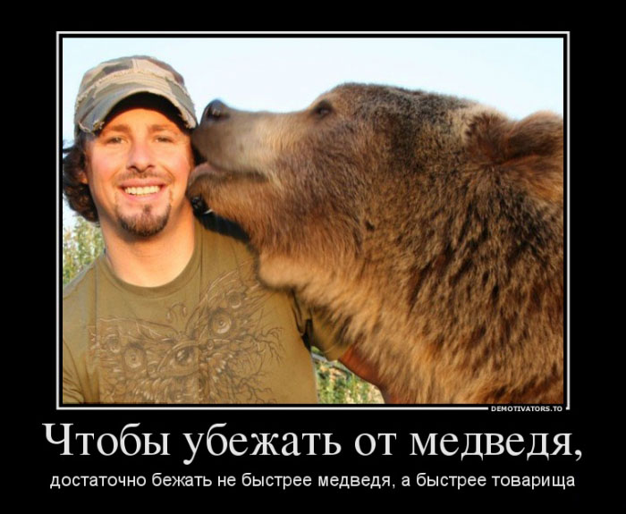 Убежать от медведя