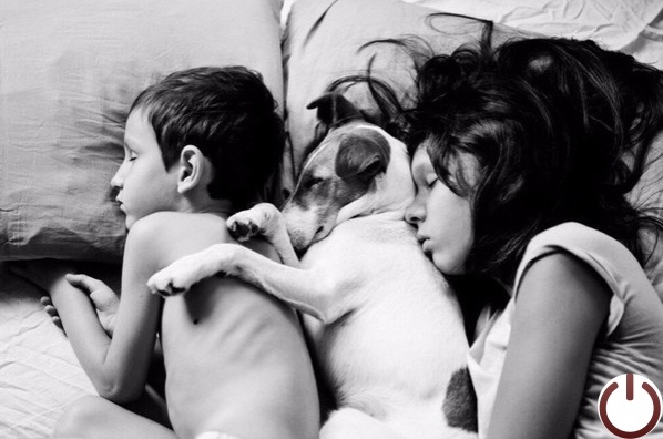 Что снится им во сне?... Им снится детство до сих пор