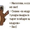 Пил Пил