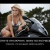 Отключить на полчаса