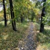 Я ухожу в осеннюю аллею