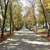 IMG 4496 IMG 4496