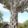 Дерево - корзина