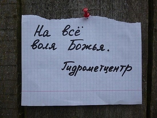 Прогноз
