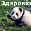здаровки))))))