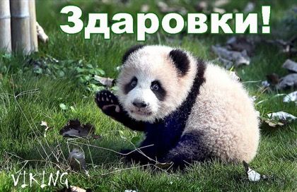 здаровки))))))