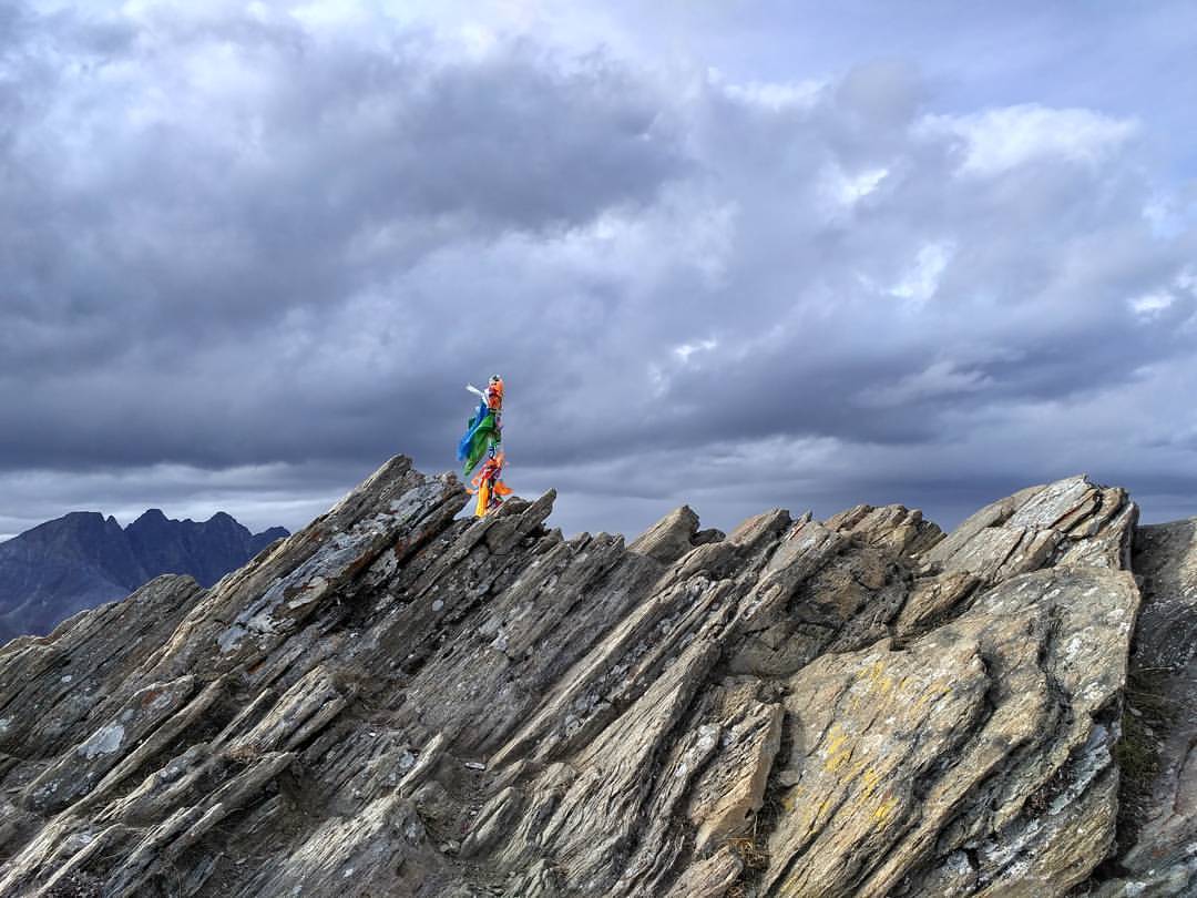 Краски осени - заснежило