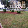 Тройка. Тройка.