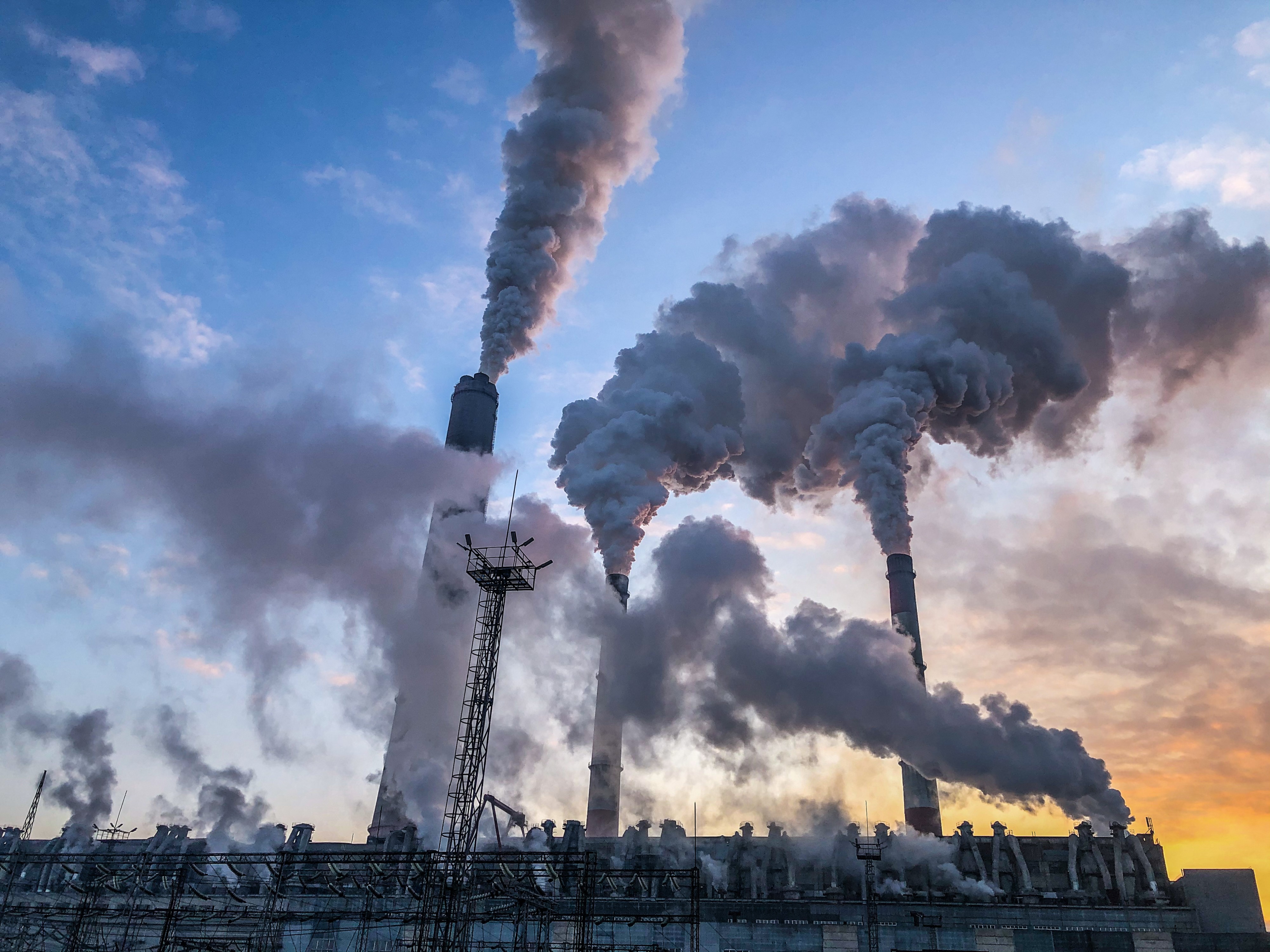 Роза ветров