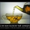 Чай Чай