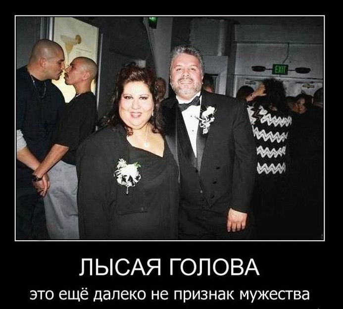 Лысая голова