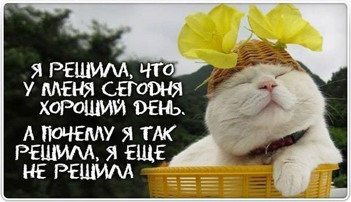 Хороший день