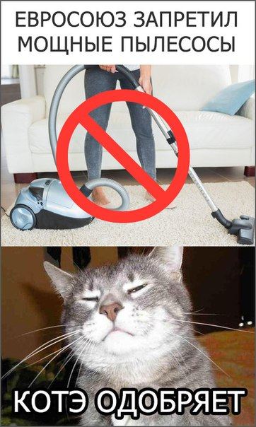 Котэ одобряет