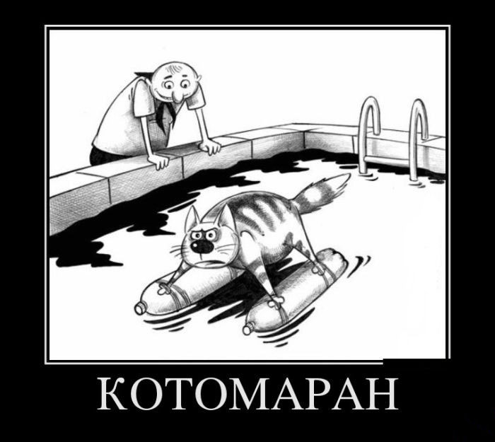 Котомаран