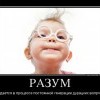 Разум