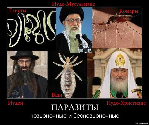 Паразиты