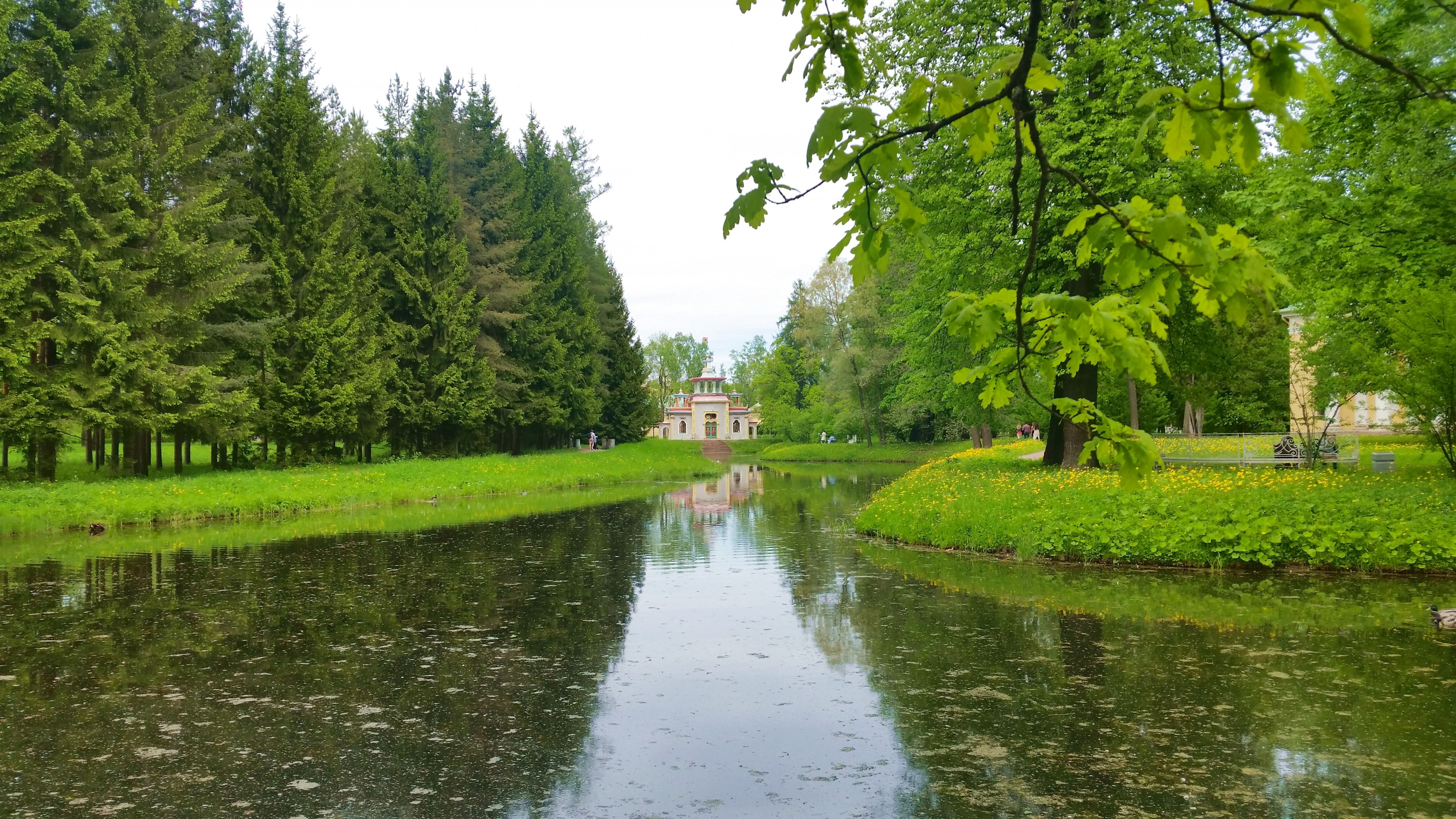 Моё, Санкт-Петербург, город, хорошо, Пушкин