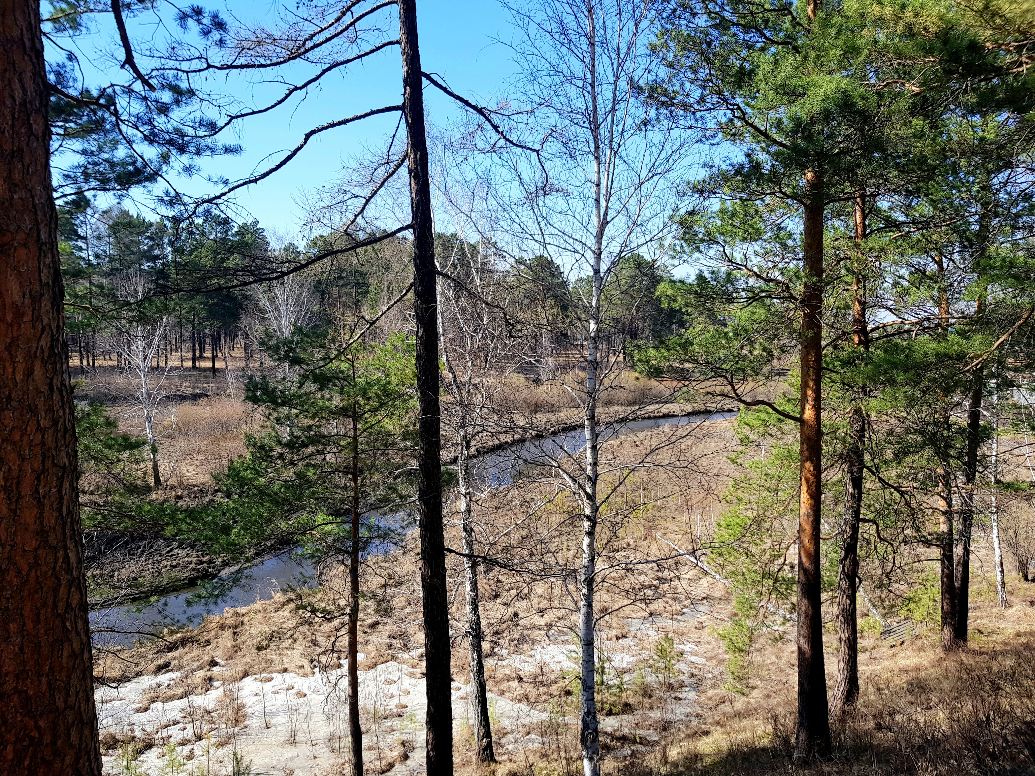 Еловкалэнд))))