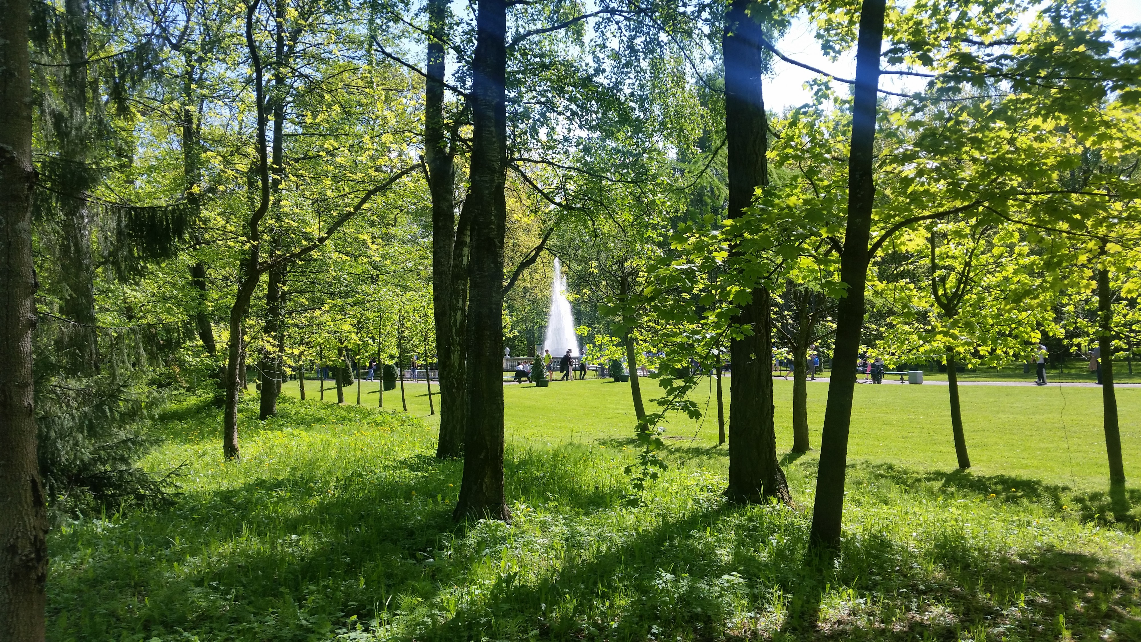 Моё, Санкт-Петербург, город, хорошо