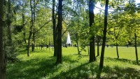 Моё, Санкт-Петербург, город, хорошо