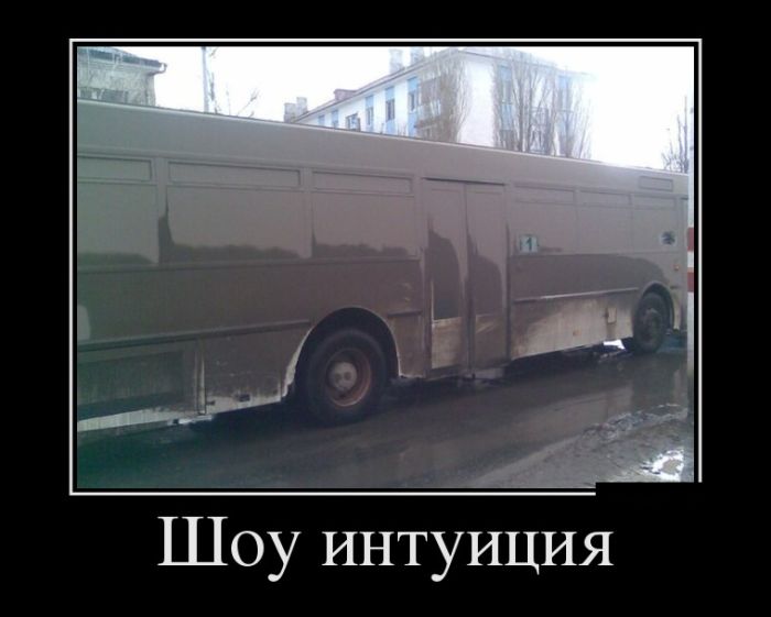 Шоу интуиция