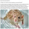 Психология самосохранения