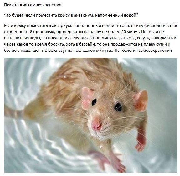 Психология самосохранения