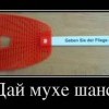 Дай шанс