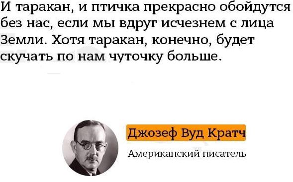 Мир на Земле