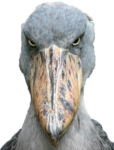 Он смотрит на тебя как на Г@ВНО