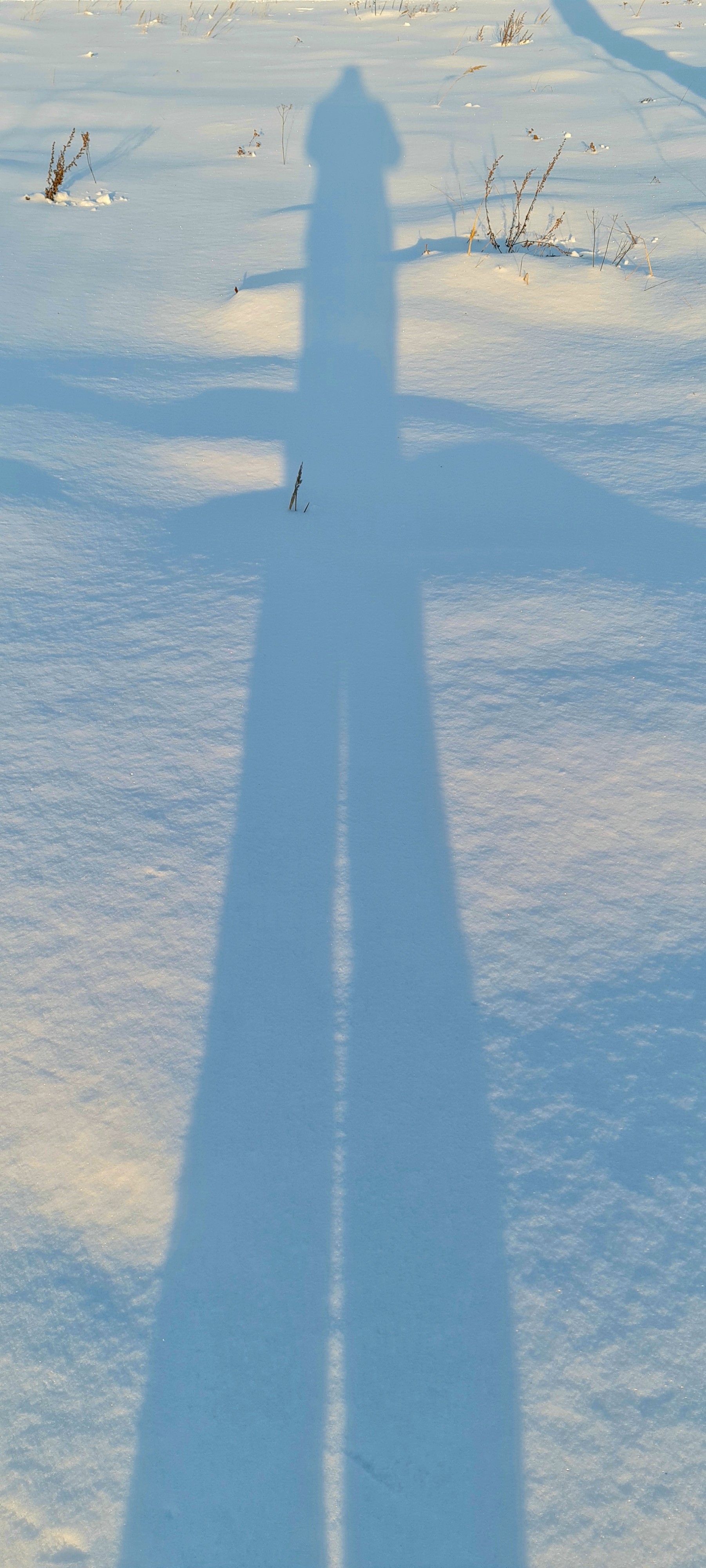 Тень сирёгина снежнодлиннодлинная))))))