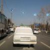 Белый конь Белый конь