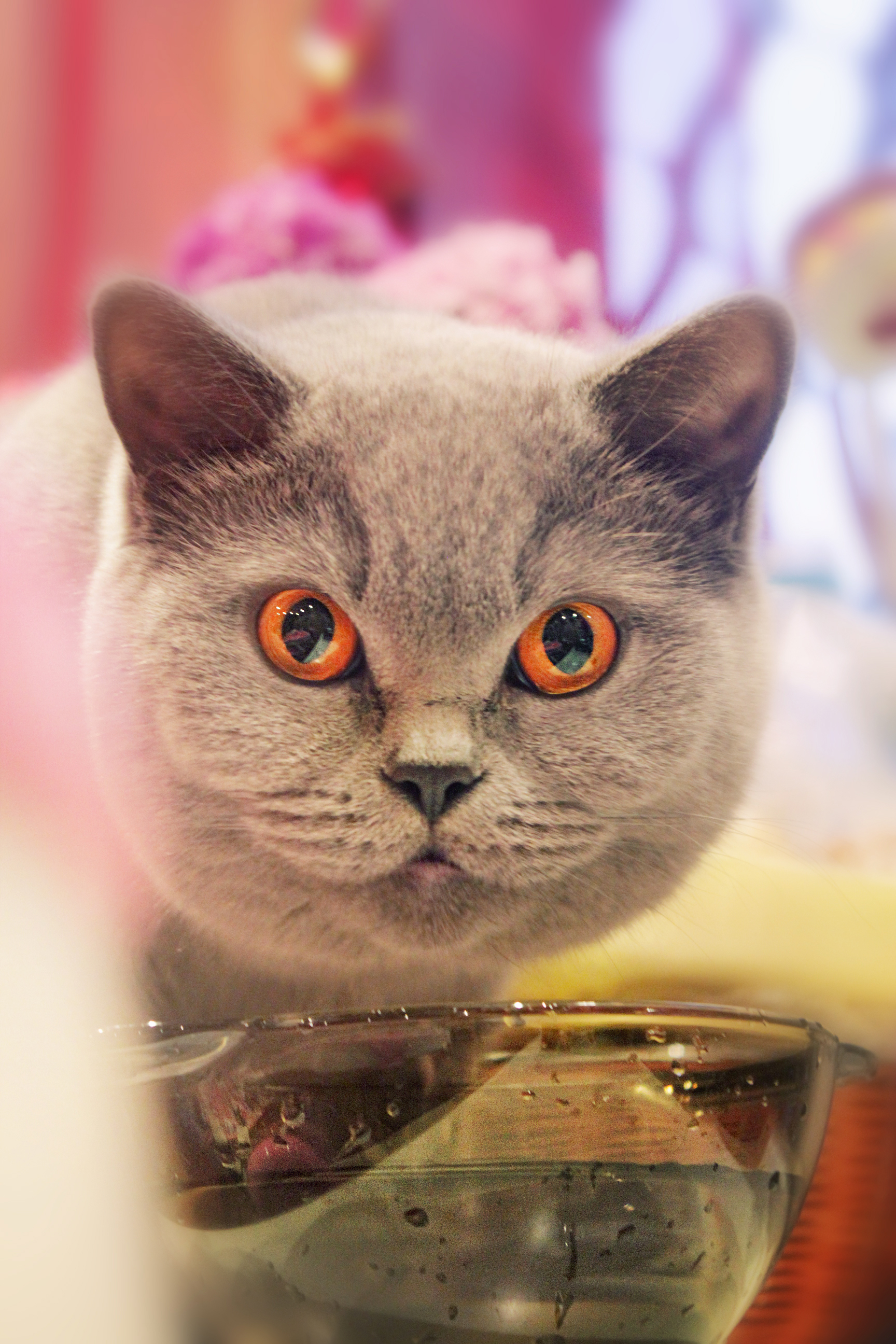 Наша Бесенька.