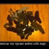 Найти пару Найти пару