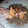 нямка