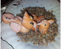 нямка